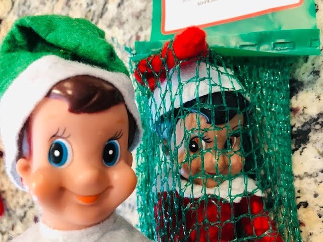 meebles sporella feet 3