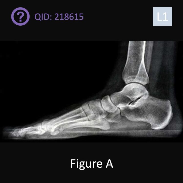 megan jennings feet 2