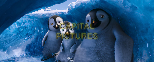 meibh campbell feet 6