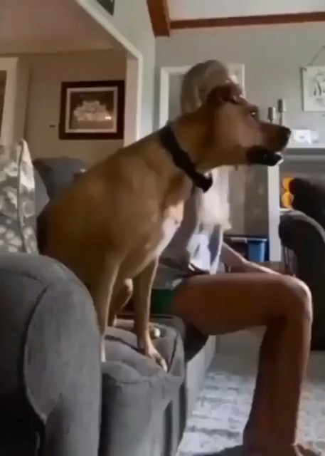 melanie wright feet 5