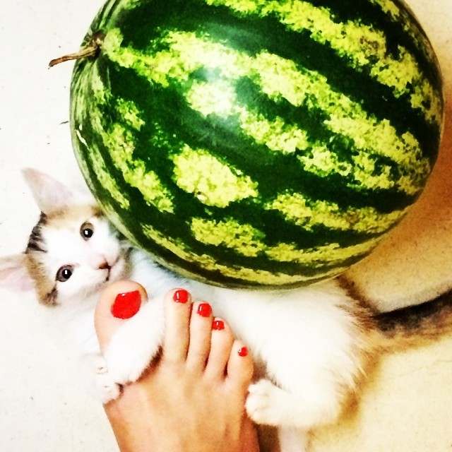 melika sharifinia feet 3