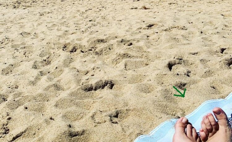 melisa garcia feet 4