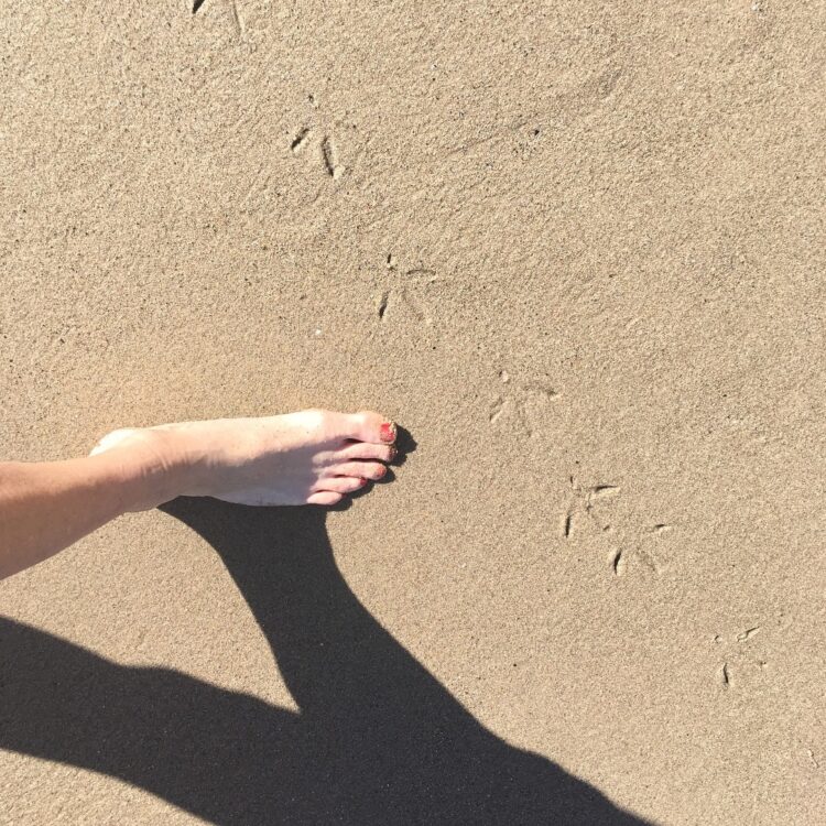 melissa hunter feet 1