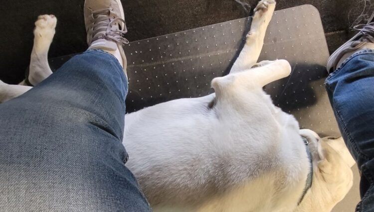 melissa jones feet 4