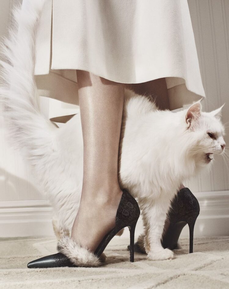 meow michelle feet 4