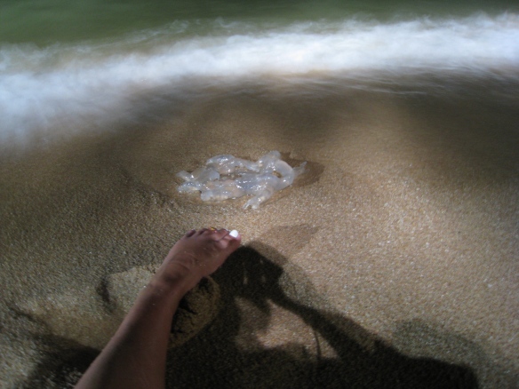 meri vahtera feet 5