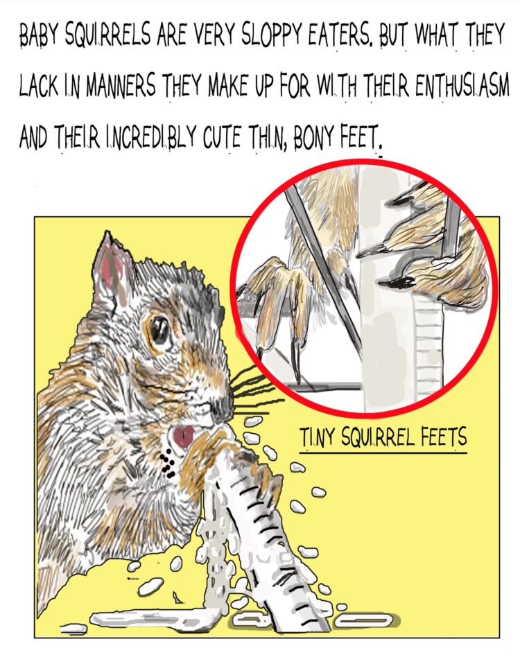 merrill markoe feet 5