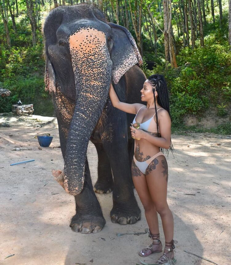 metisse campbell feet 6