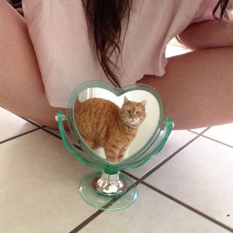 michele bisaillon feet