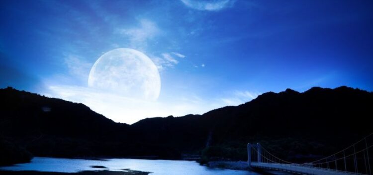 michele knight feet 1