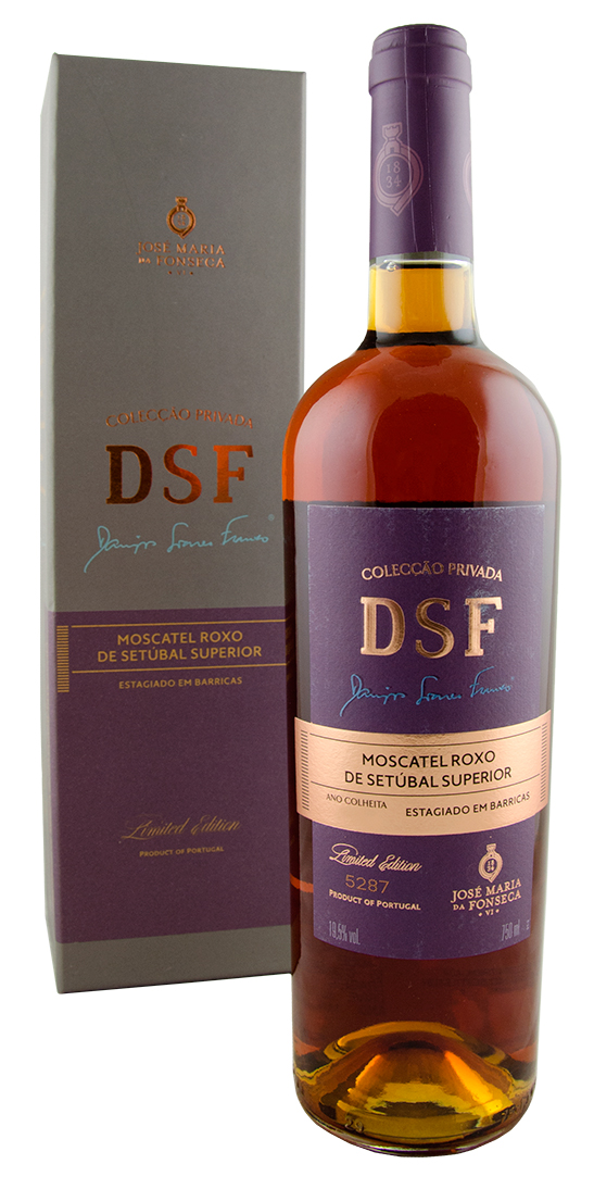 michelle brea soares feet 5