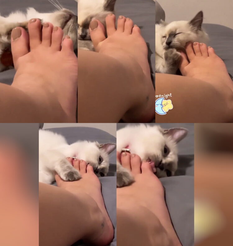 michelle carvalho feet