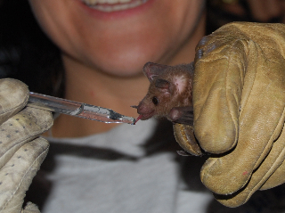 michelle mccaulley feet 1