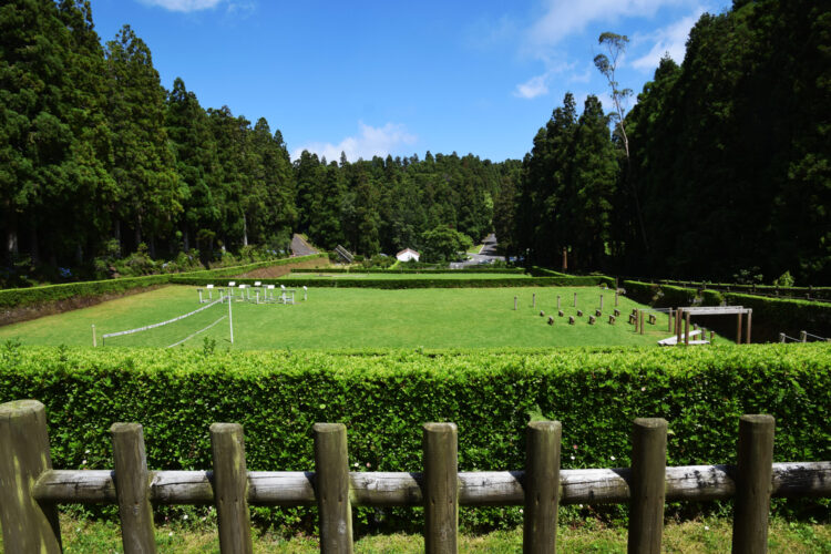 miguela florestal feet 2 scaled