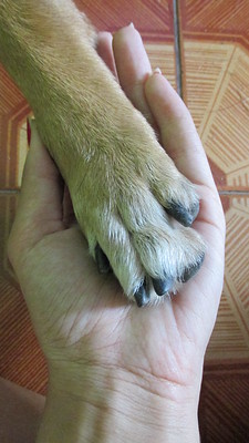 milena carvalho feet 1