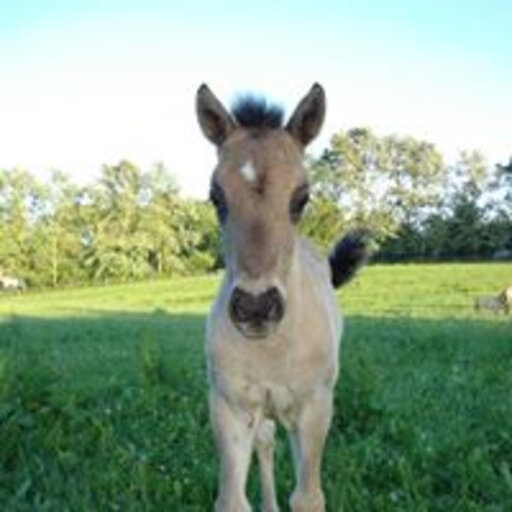 milena jaworska feet 6