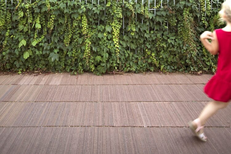 milena salcedo feet 6