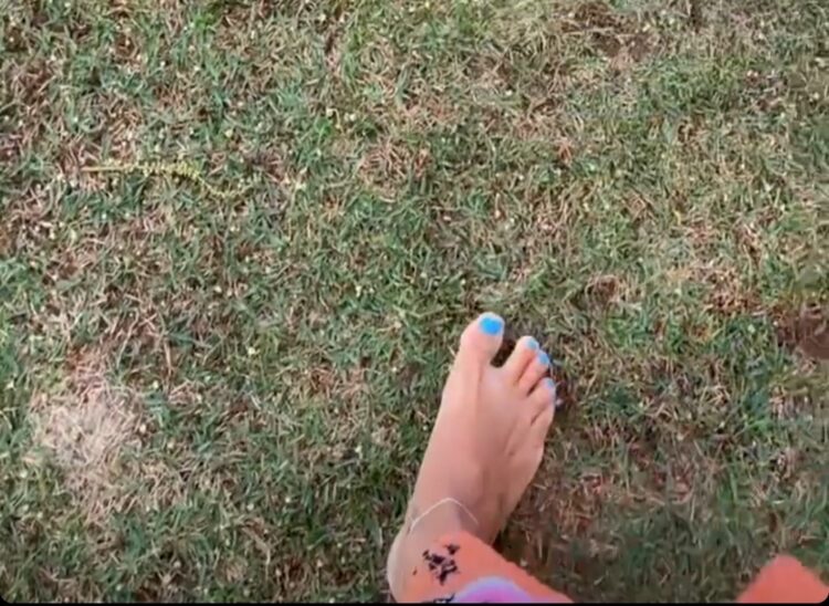 milene domingues feet 1