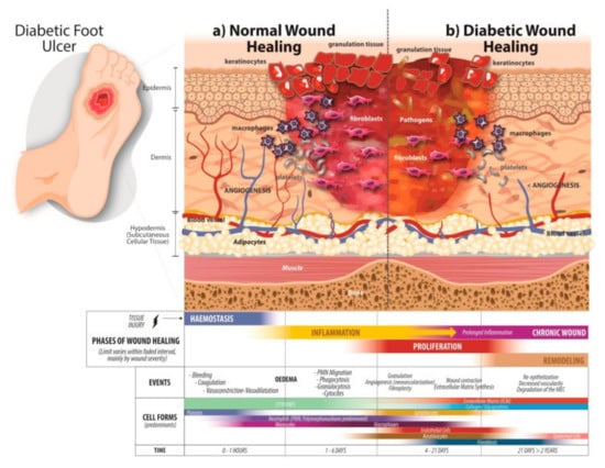 mirna pereira martinez feet 6