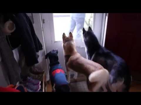 mishka gardea feet 1