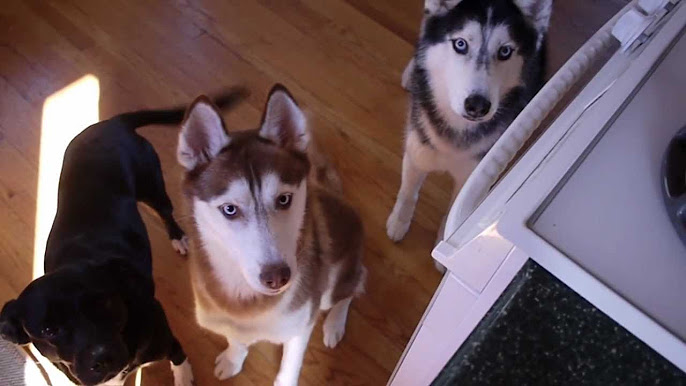 mishka gardea feet 2