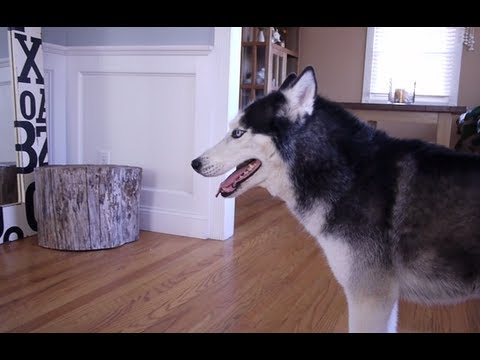 mishka gardea feet 6