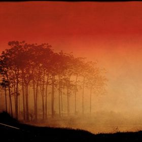 miss ela pasion feet 2