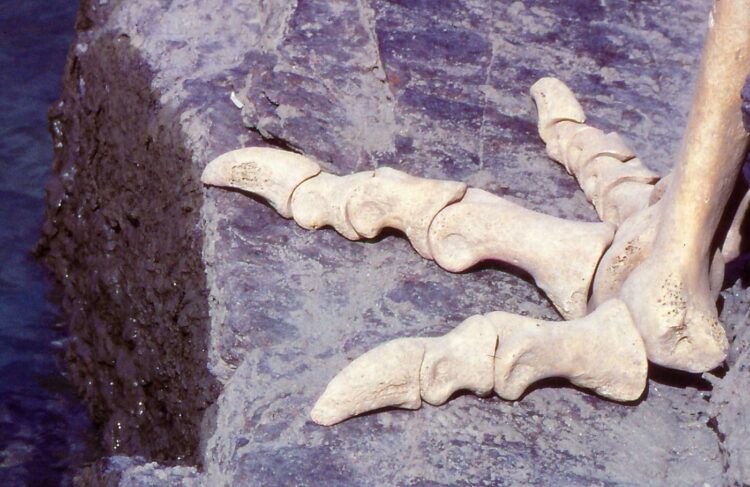 moa murderess feet 2