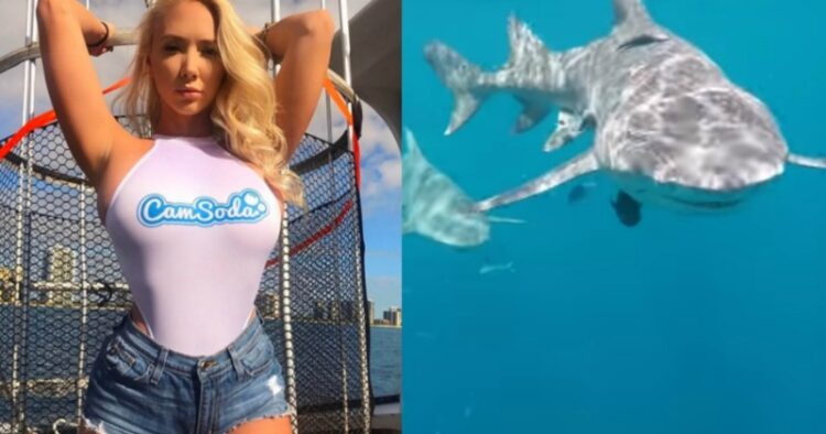 molly cavalli feet 1