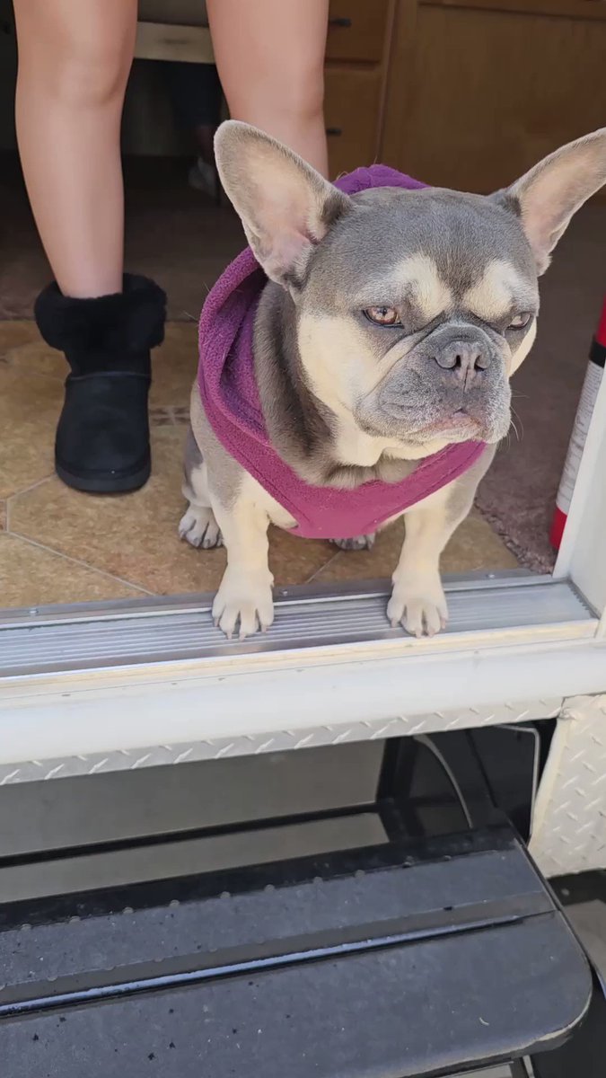 molly pansino feet 5