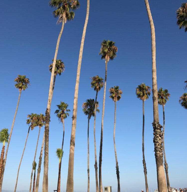 molly teshuva feet 2