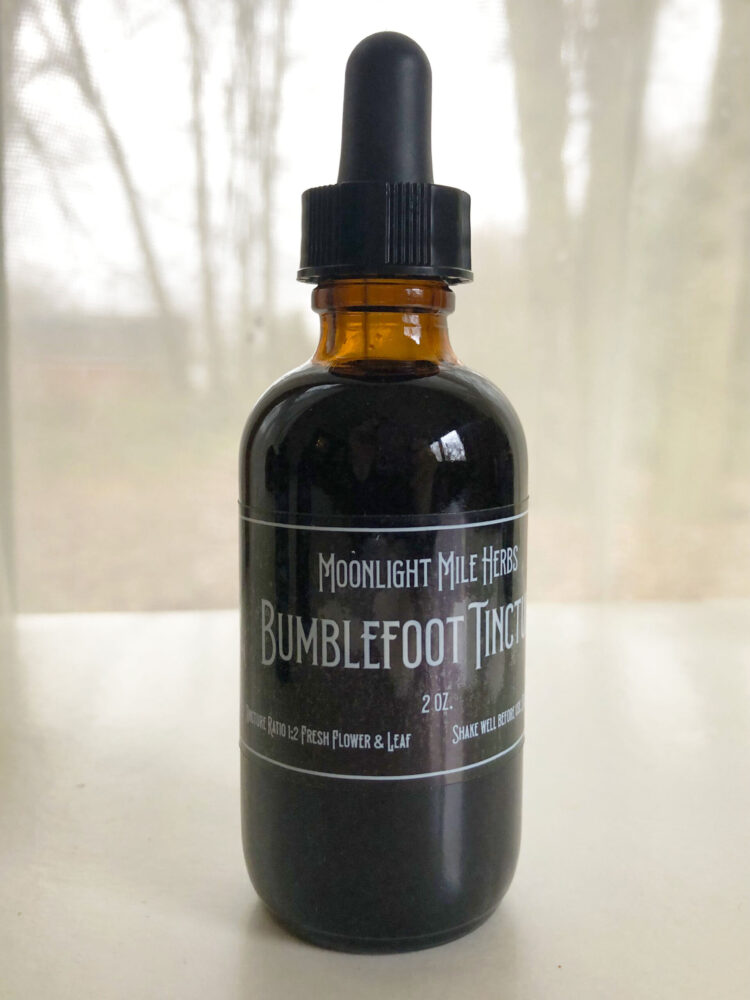 moonlight eats feet 1 scaled