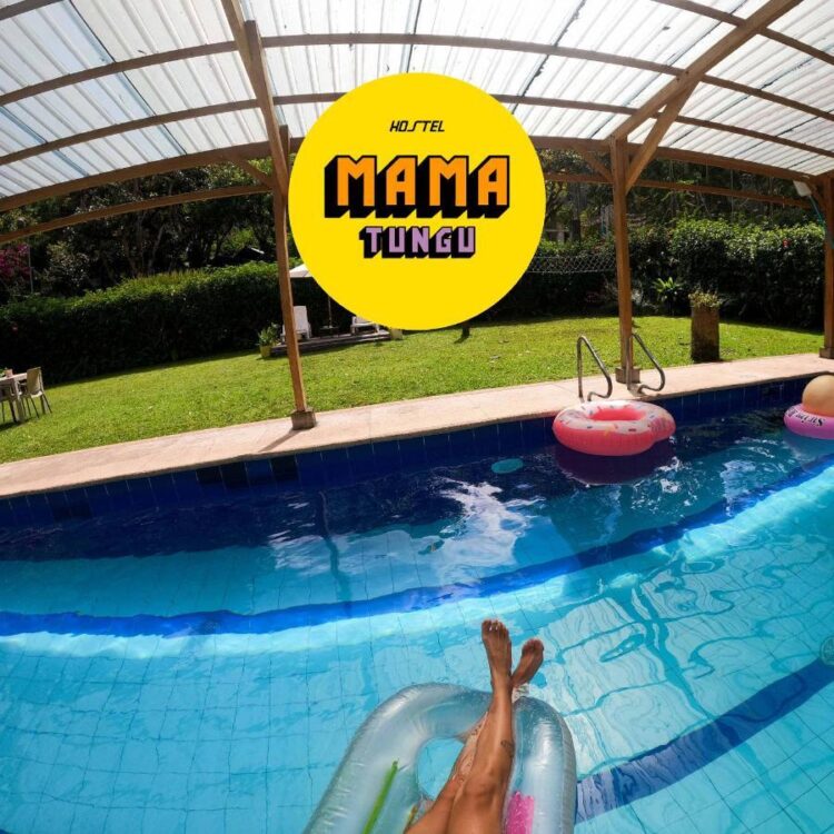 morel chekoral feet 4