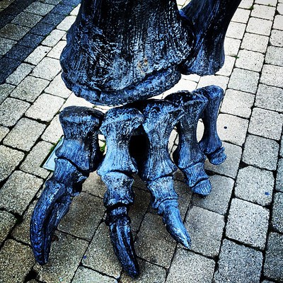 morgan elizabeth feet 4