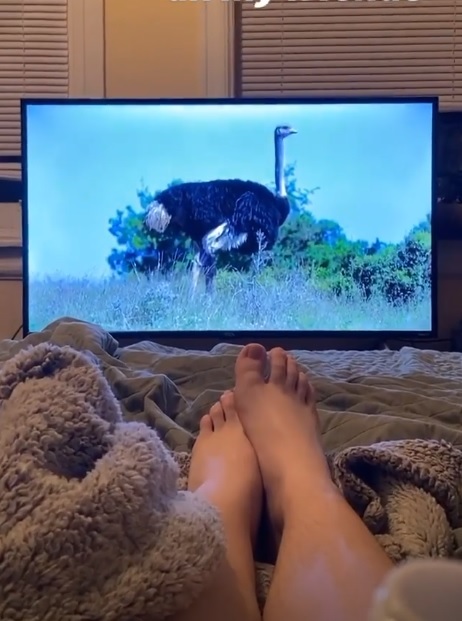 morgan turner feet 6