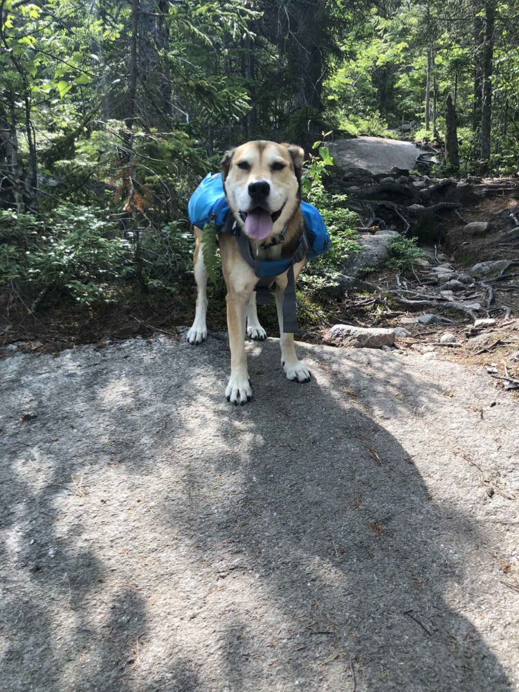 moriah monroe feet 4