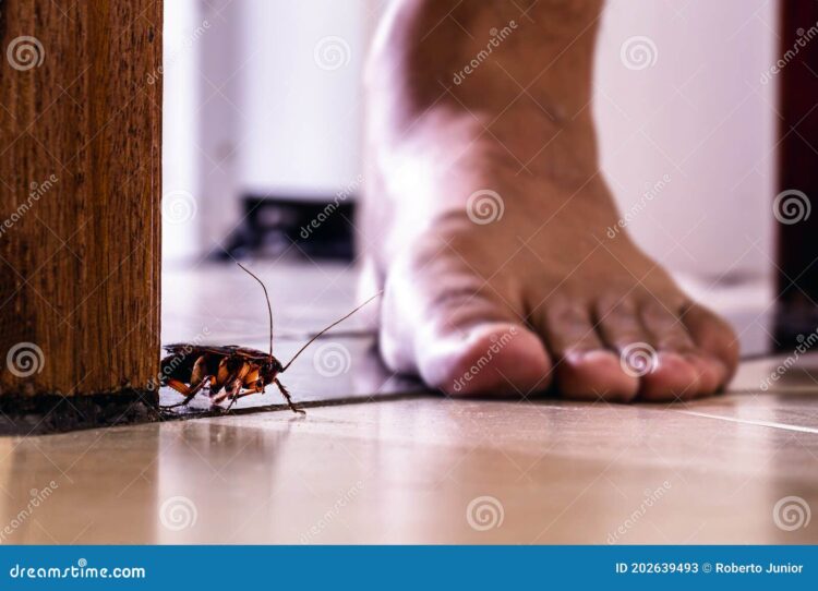 muthiah sabri feet 2