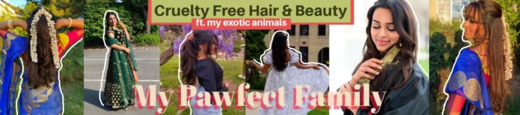 my pawfect family sahana feet 5