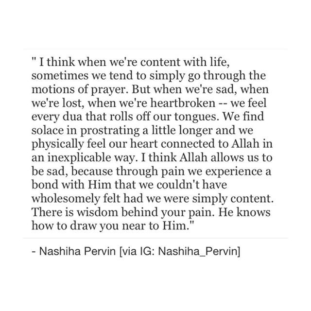 nashiha pervin feet 2