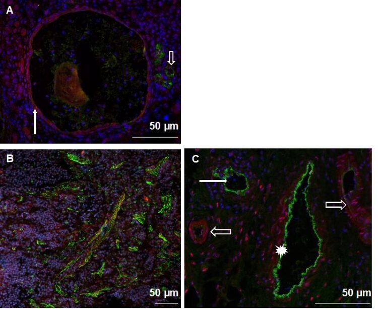 natali khlebnikova feet 4