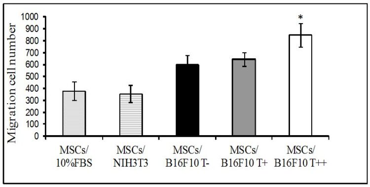 natali khlebnikova feet 6