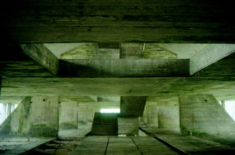 natali litvinova feet 1