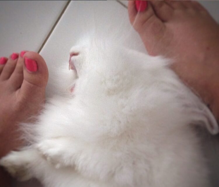 natalia betancourt feet 2