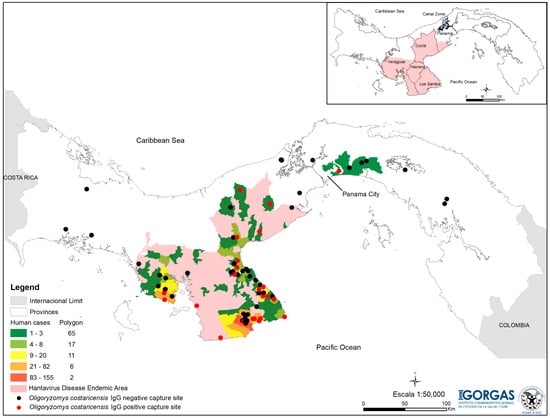 natalia cumbrera feet 1
