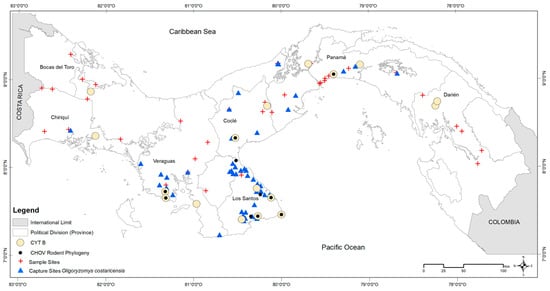natalia cumbrera feet 4