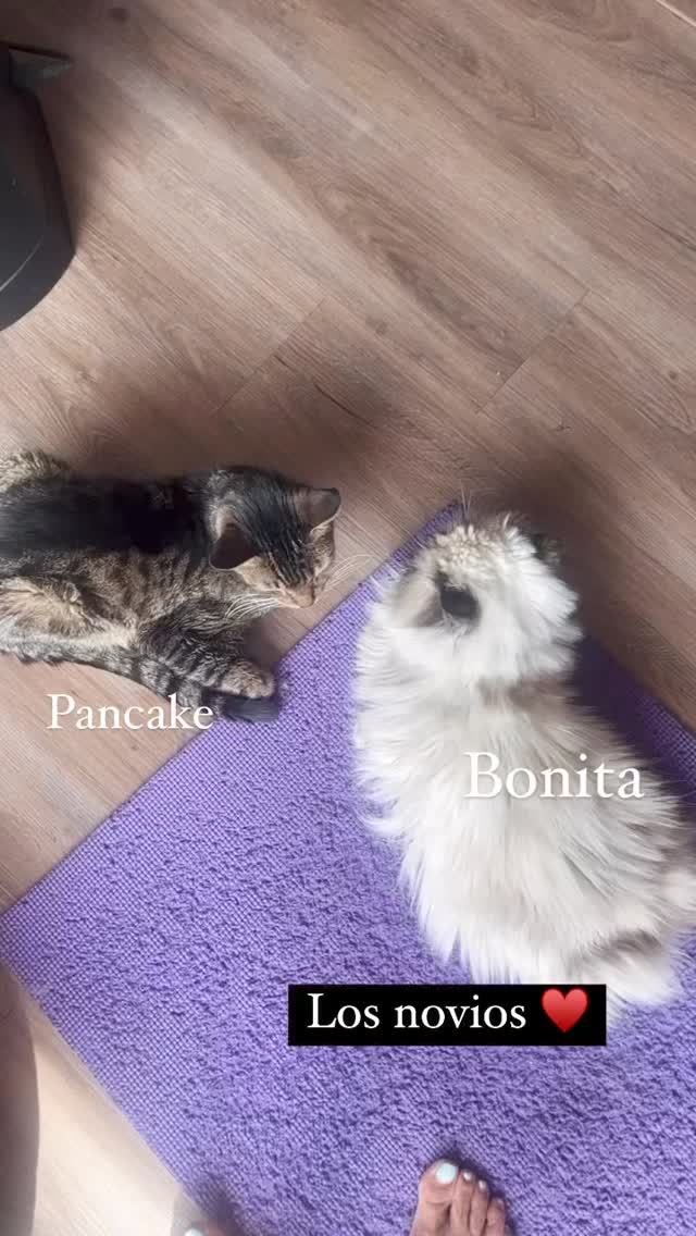 natalia paris feet 2