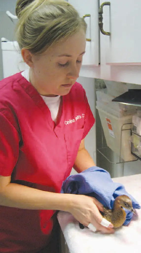 natalie grebe feet 4