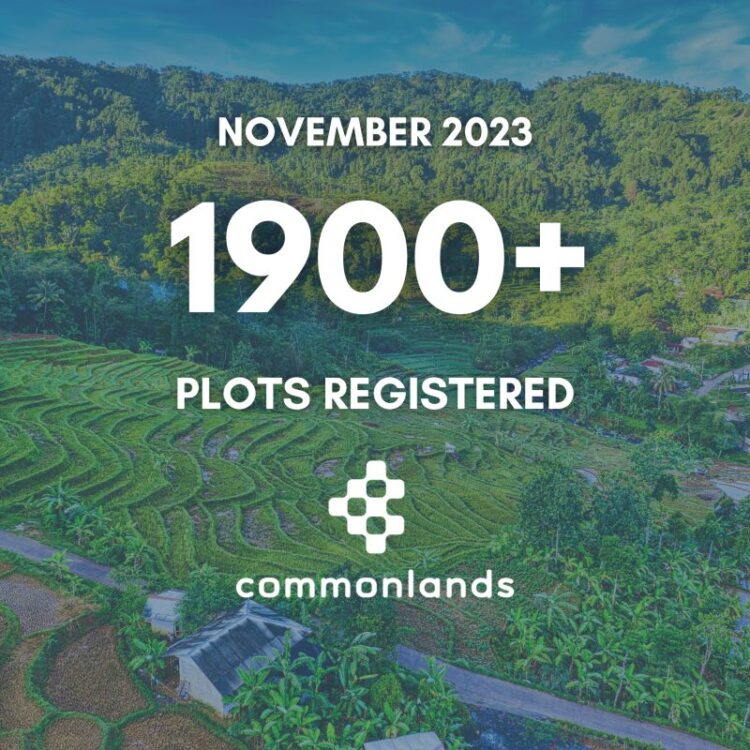 natalie phillips feet 6