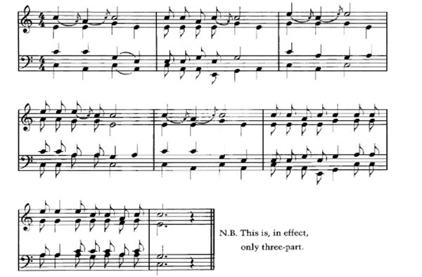 natalie sleeth feet 6