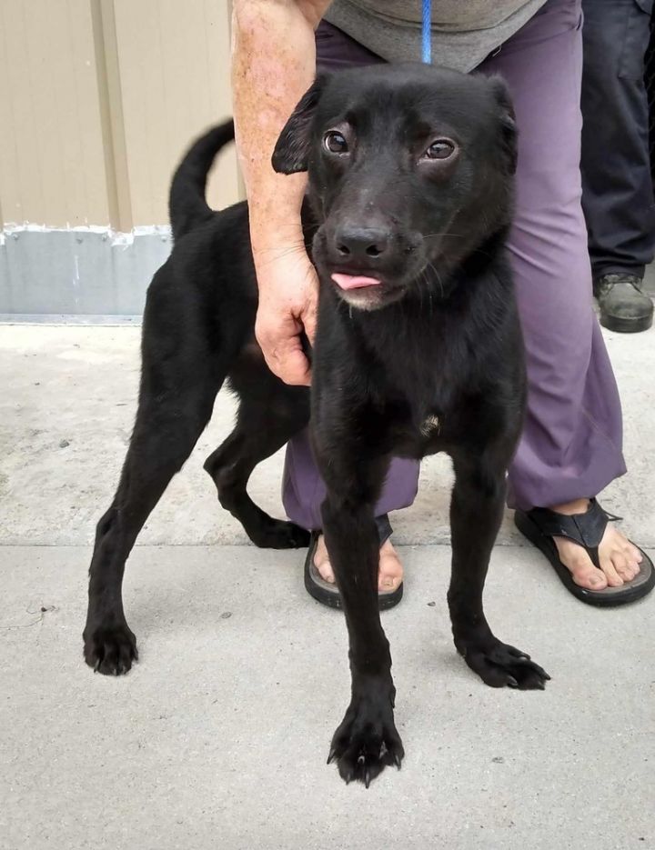 natasha yasmien labra feet